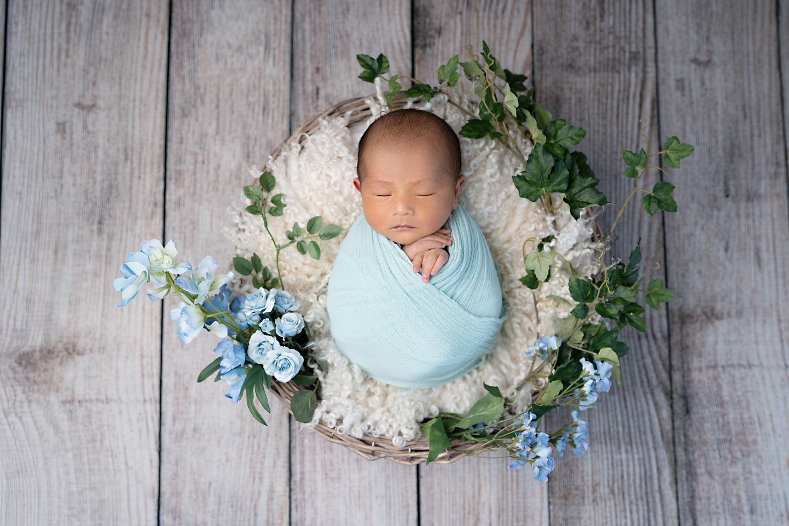 ライトプランのサンプル画像