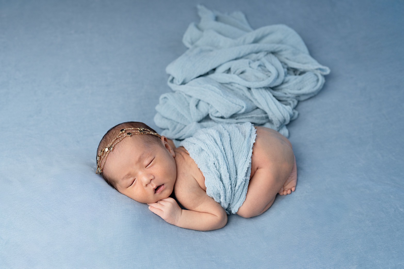 プレミアムプランのサンプル画像