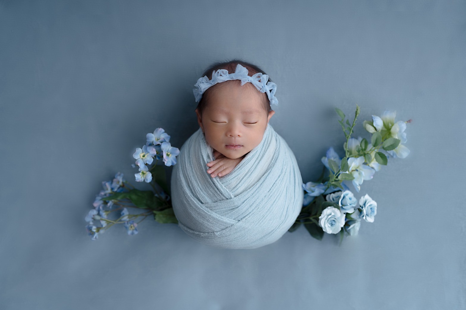 ベーシックプランのサンプル画像