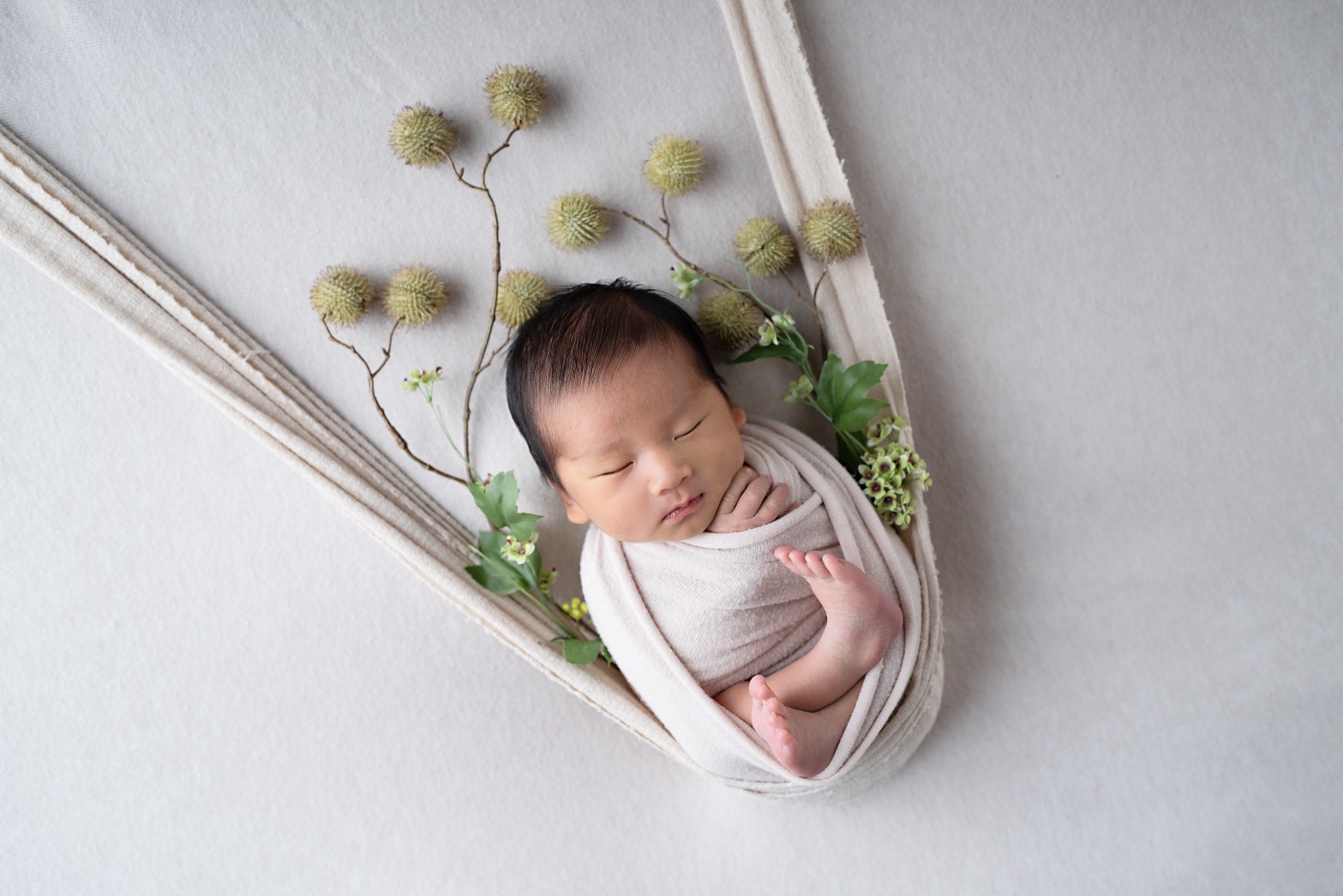 メインビジュアル画像