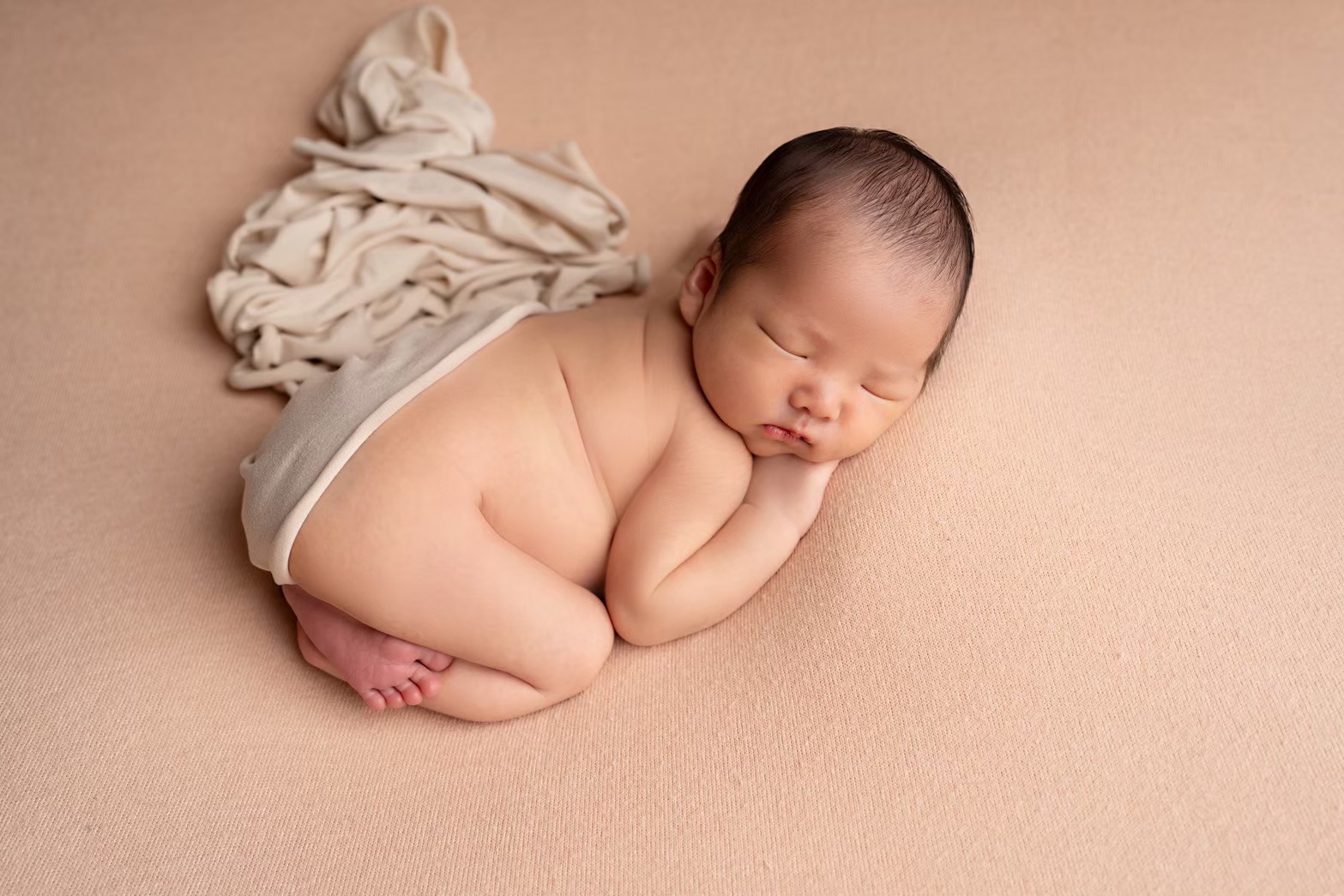 ベーシックプランのサンプル画像