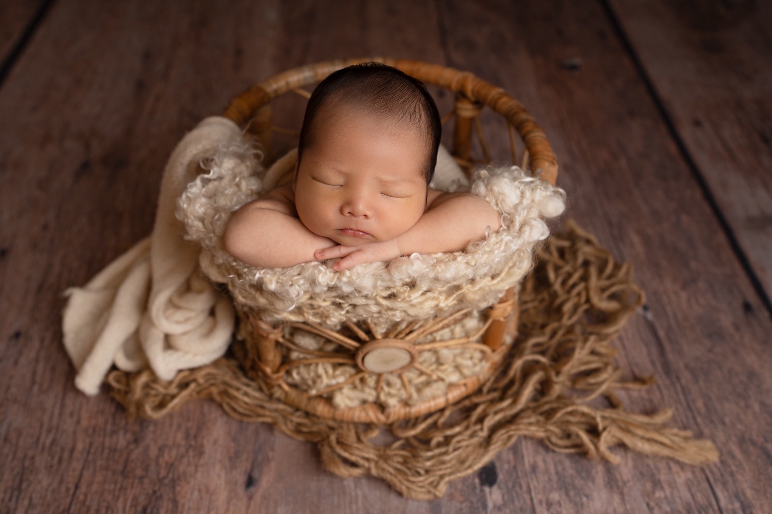 ライトプランのサンプル画像