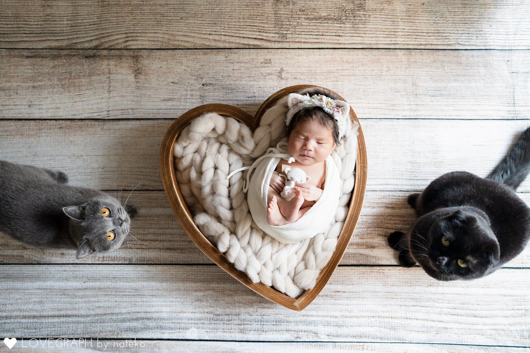 プレミアムプランのサンプル画像